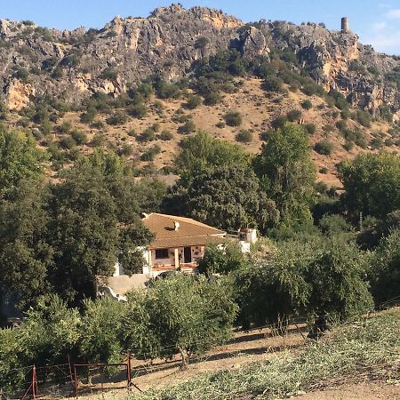 Villa La Quinta Приего-де-Кордова Экстерьер фото